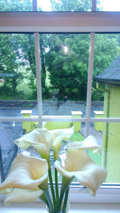 Bed and Breakfast Gortnaboul House Kilgarvan Екстер'єр фото